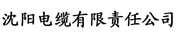 花火影视电缆厂logo